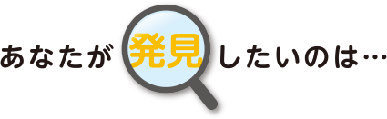 あなたが発見したいのは…